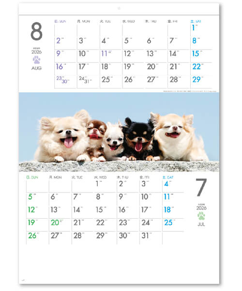 画像4: THE DOGS  ミシン目入り ＠390円〜(税込)