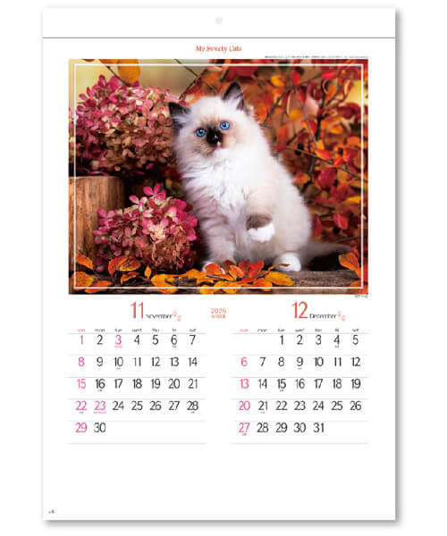 画像3: マイ　スウィーティ―　キャット＠299円〜(税込)