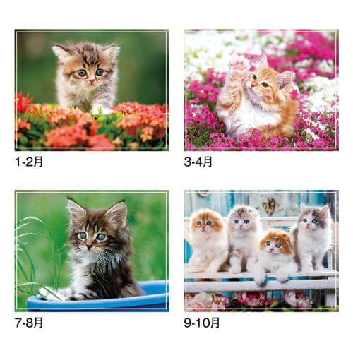 画像4: マイ　スウィーティ―　キャット＠299円〜(税込)