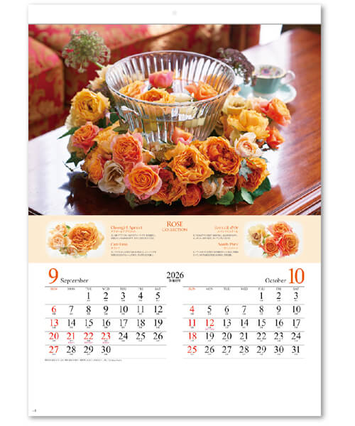 画像4: ROSE COLLECTION・ローズコレクション ＠415円〜(税込)