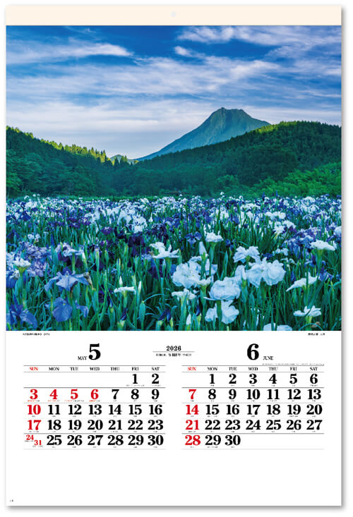 画像3: 四季光耀（フィルム）  ＠970円〜(税込)