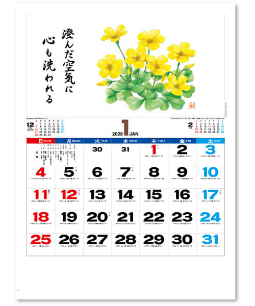 画像2: 花ごよみ  ＠495円〜(税込)