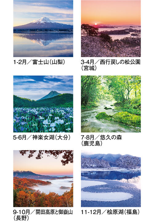 画像4: 四季光耀（フィルム）  ＠970円〜(税込)