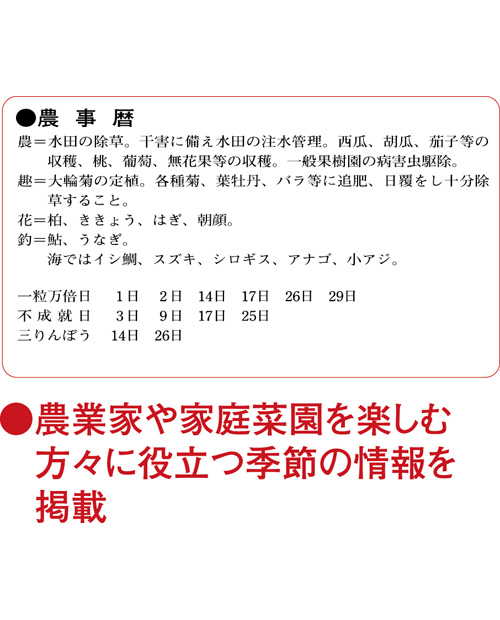 画像4: 厚口文字月表　晴雨表入り・年間予定表付＠350円〜(税込)