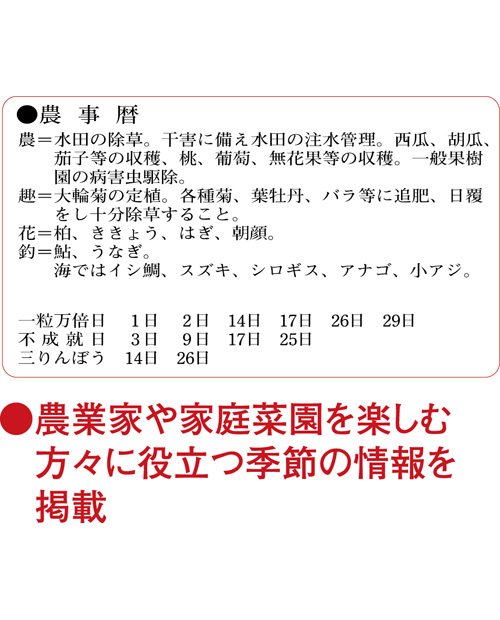 画像4: 3色文字月表　晴雨表入り・年間予定表付＠350円〜(税込)