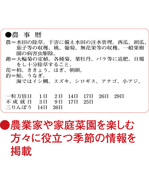 画像4: 3色メモ付文字月表　晴雨表入り・年間予定表付＠350円〜(税込)