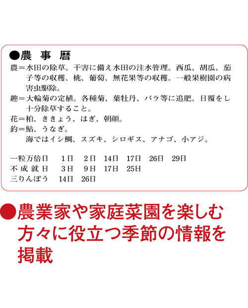 画像4: 格言付色分文字(厚口)　晴雨表入り・年間予定表付＠390円〜(税込)