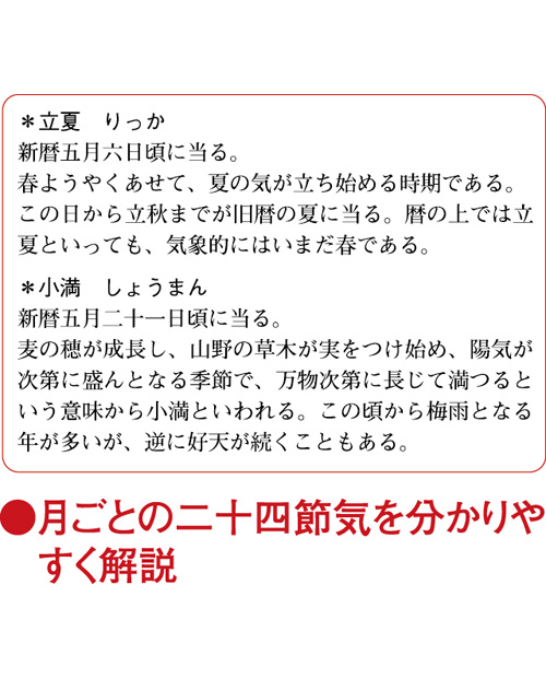 画像4: 予定表文字　晴雨表入り・年間予定表付＠350円〜(税込)