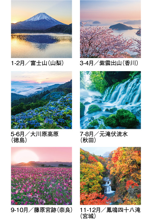 画像4: 四季光耀（フィルム）  ＠970円〜(税込)