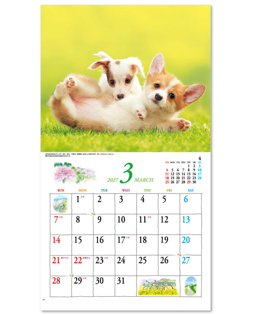 画像4: キュート（CUTE)  100冊＠415円〜(税込)