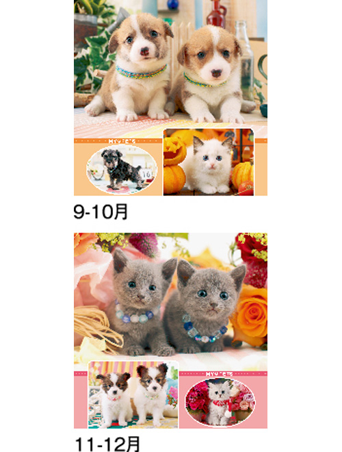 画像4: マイペット　(フィルム）＠970円〜(税込)