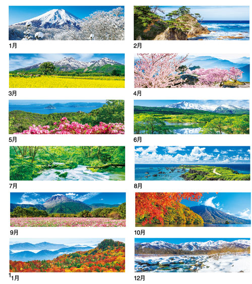 画像4: 季節のパノラマ（小）＠495円〜(税込)