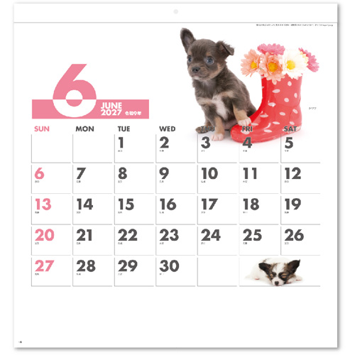画像3: DOG DOG DOG  ＠495円〜(税込)