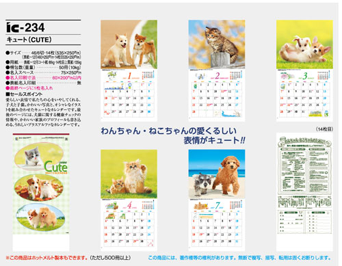 画像5: キュート（CUTE)  100冊＠415円〜(税込)