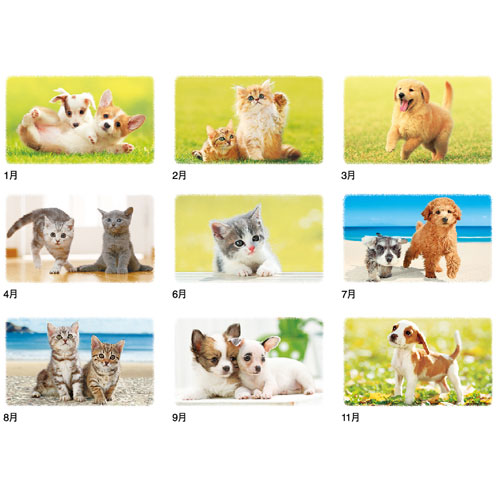 画像4: Dear Family（ディアーファミリー）＠535円〜(税込)