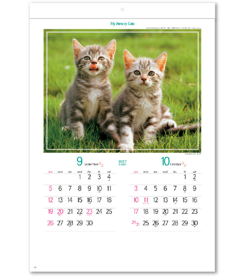 画像3: マイ　スウィーティ―　キャット＠309円〜(税込)