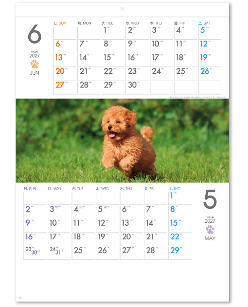 画像3: THE DOGS  ミシン目入り ＠390円〜(税込)