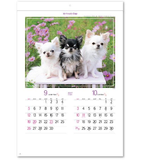 画像3: マイ　スウィーティ―　ドッグ＠309円〜(税込)
