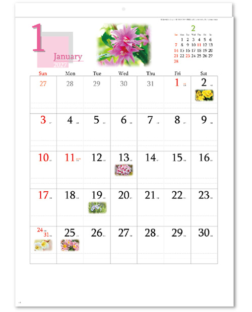 画像2: 四季の花もよう  ＠495円〜(税込)
